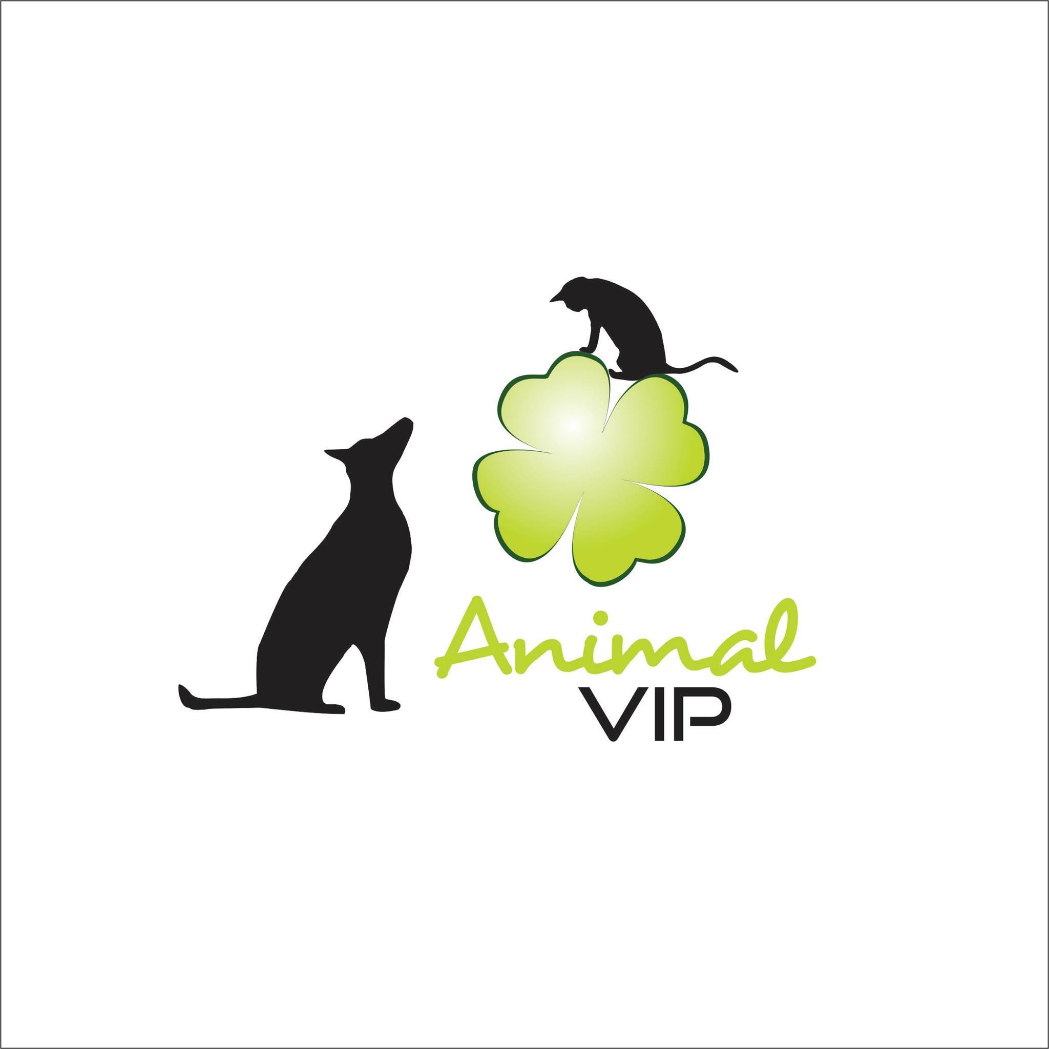 Animal Vip - C. Vet. de Castro Daire