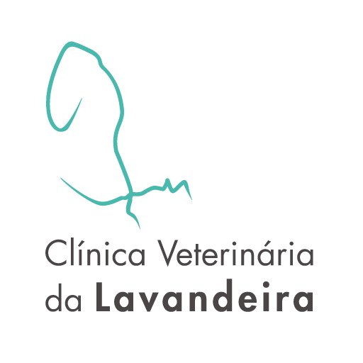 Clínica Veterinária da Lavandeira 