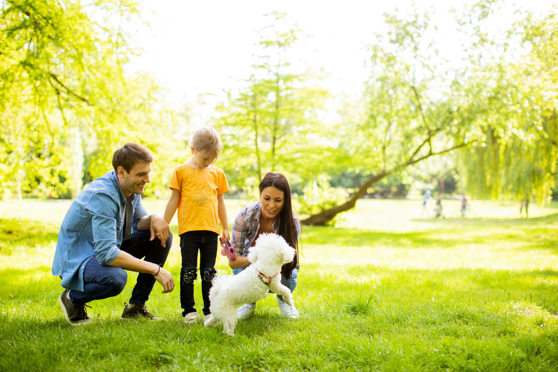 Família feliz com o seu cão a brincar no parque