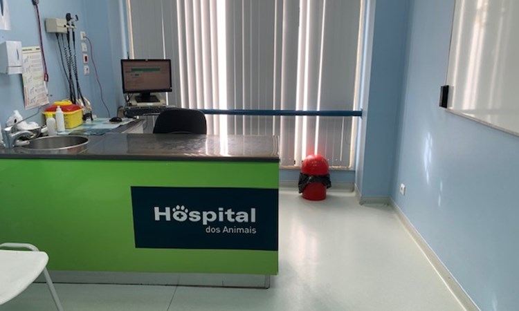 285_Hospital_3.jpg