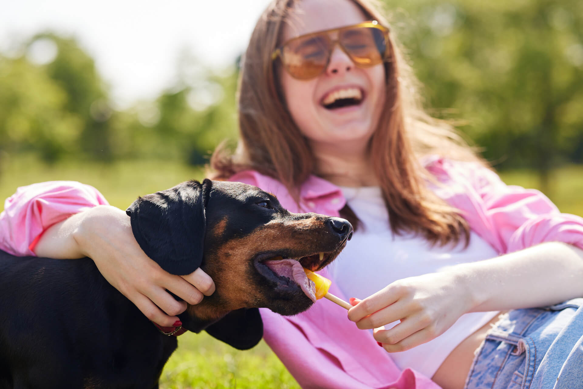 Cão a comer um gelado na boca pela sua humana