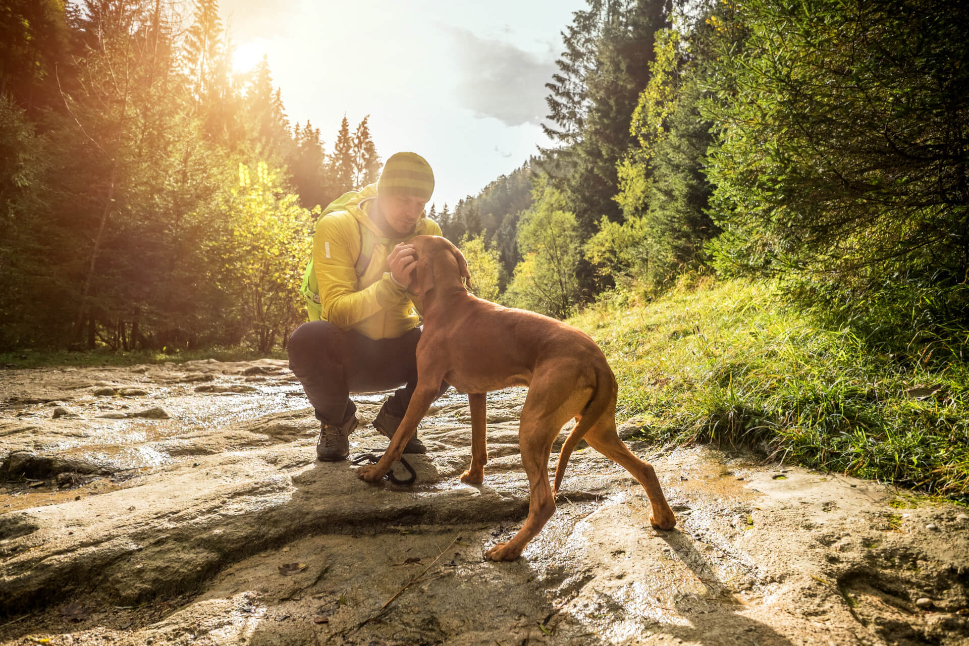 Cão e o seu dono a fazer trekking